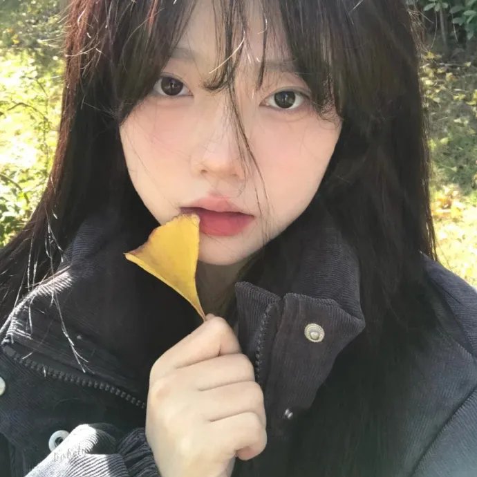 动漫综艺